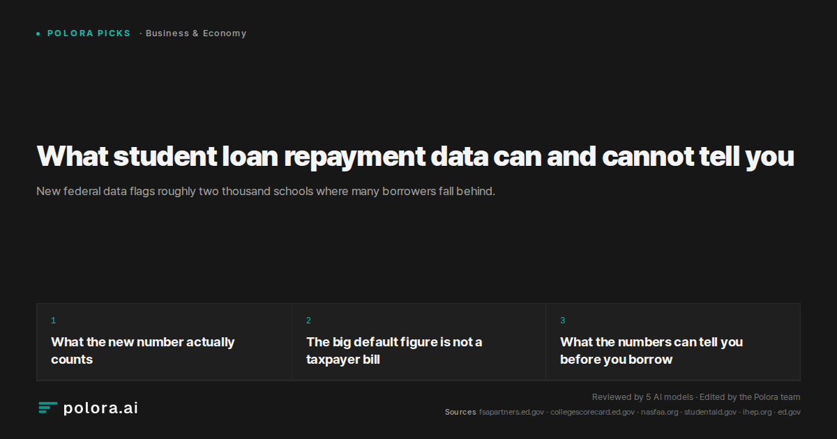 What student loan repayment data can and cannot tell you