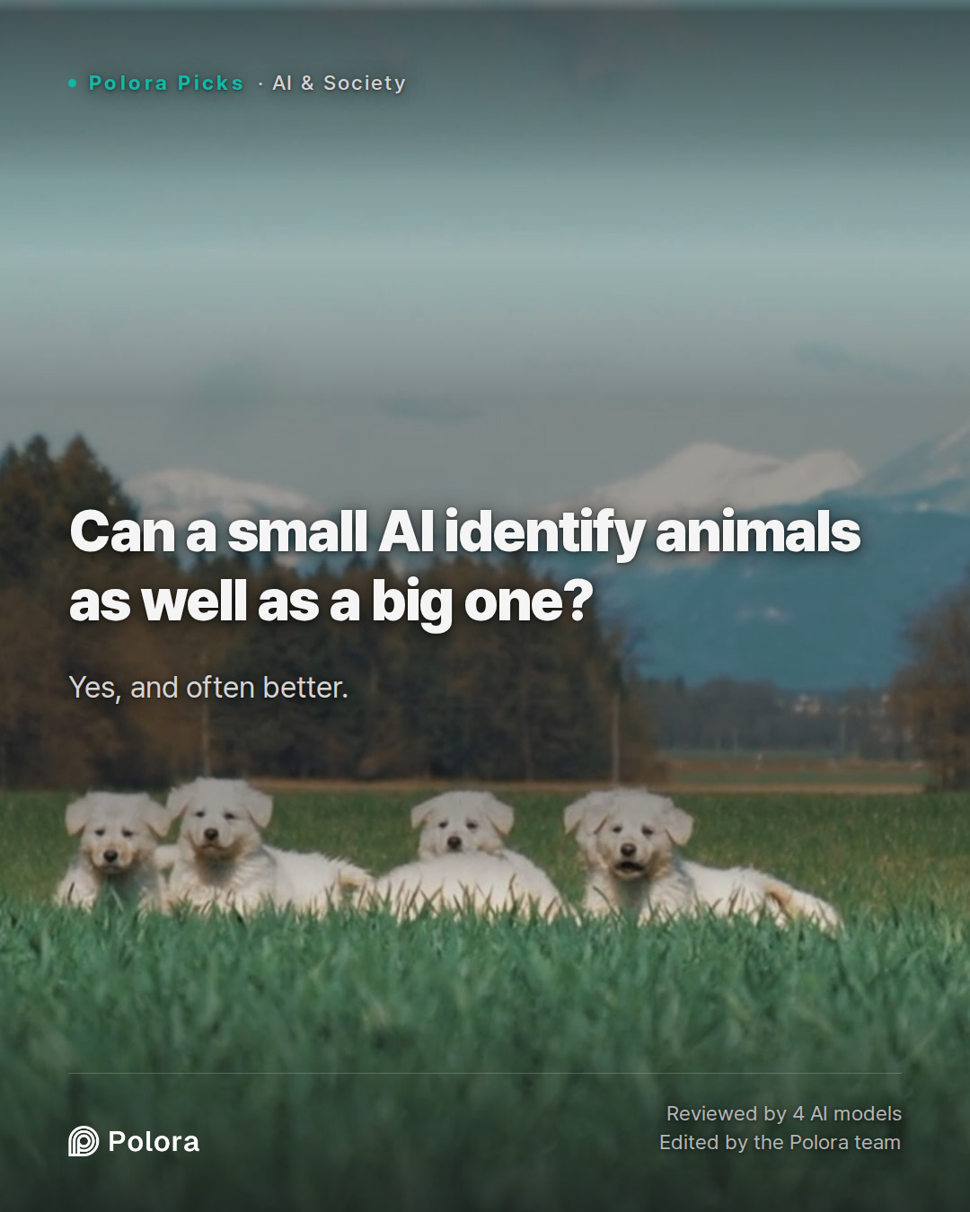 Can a small AI identify animals as well as a big one?
