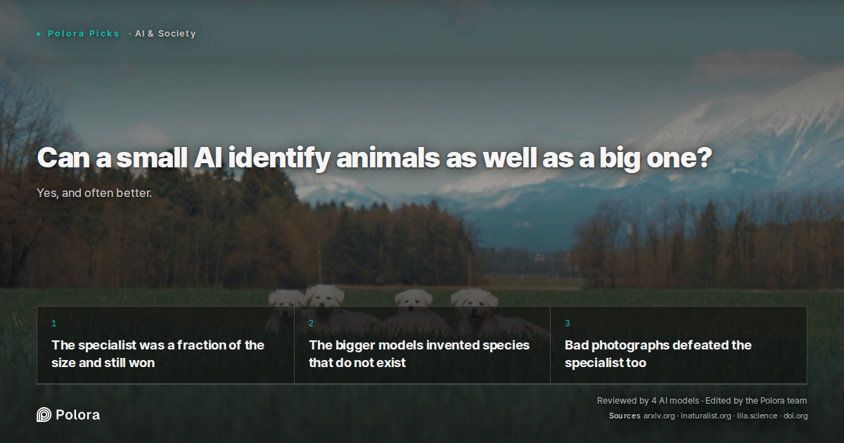 Can a small AI identify animals as well as a big one?