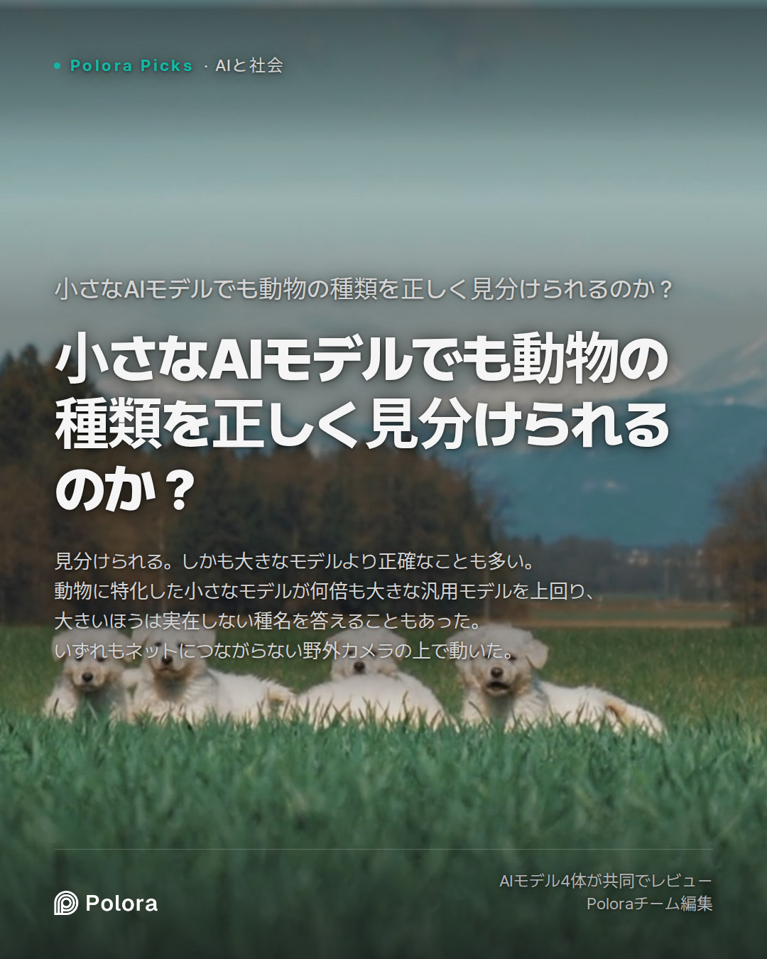 小さなAIモデルでも動物の種類を正しく見分けられるのか？
