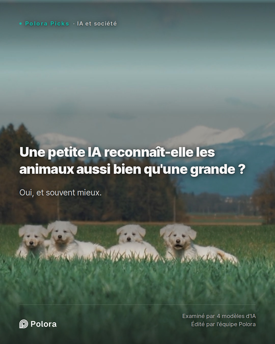 Une petite IA reconnaît-elle les animaux aussi bien qu'une grande ?