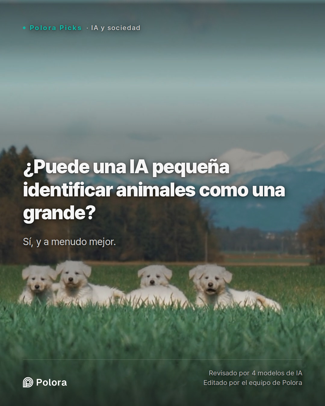 ¿Puede una IA pequeña identificar animales como una grande?