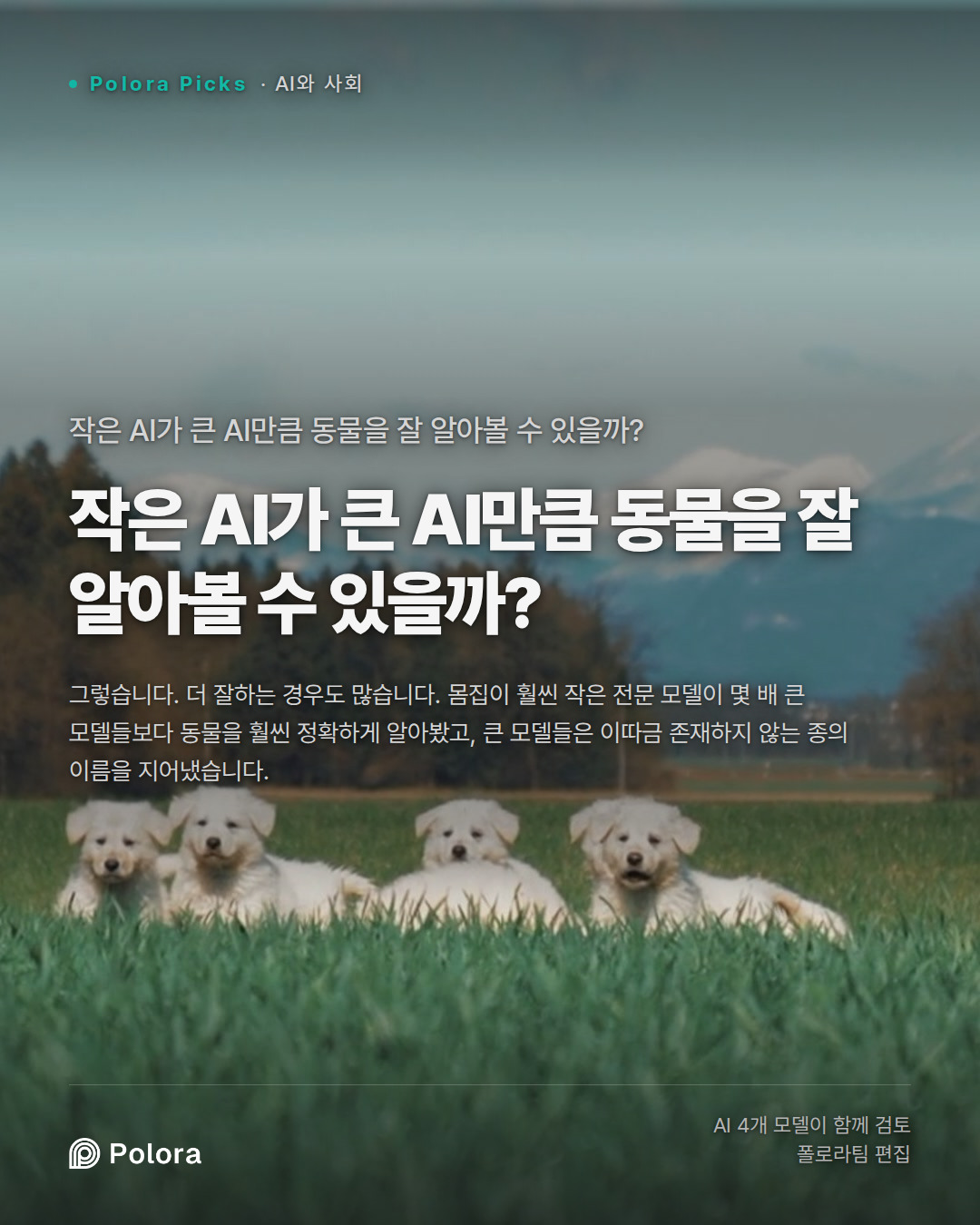 작은 AI가 큰 AI만큼 동물을 잘 알아볼 수 있을까?
