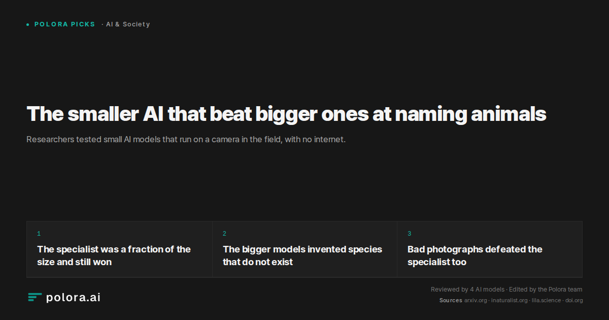 The smaller AI that beat bigger ones at naming animals
