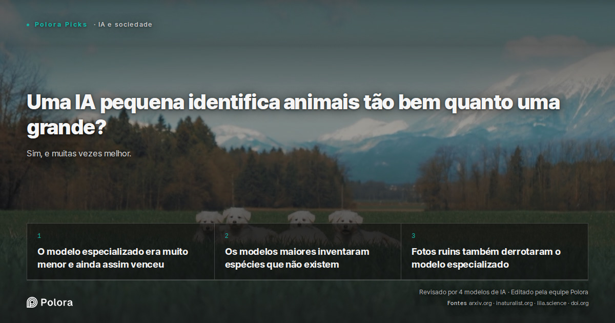 Uma IA pequena identifica animais tão bem quanto uma grande?