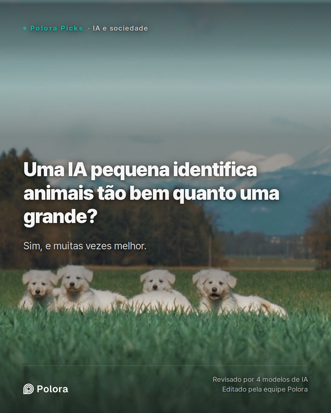 Uma IA pequena identifica animais tão bem quanto uma grande?