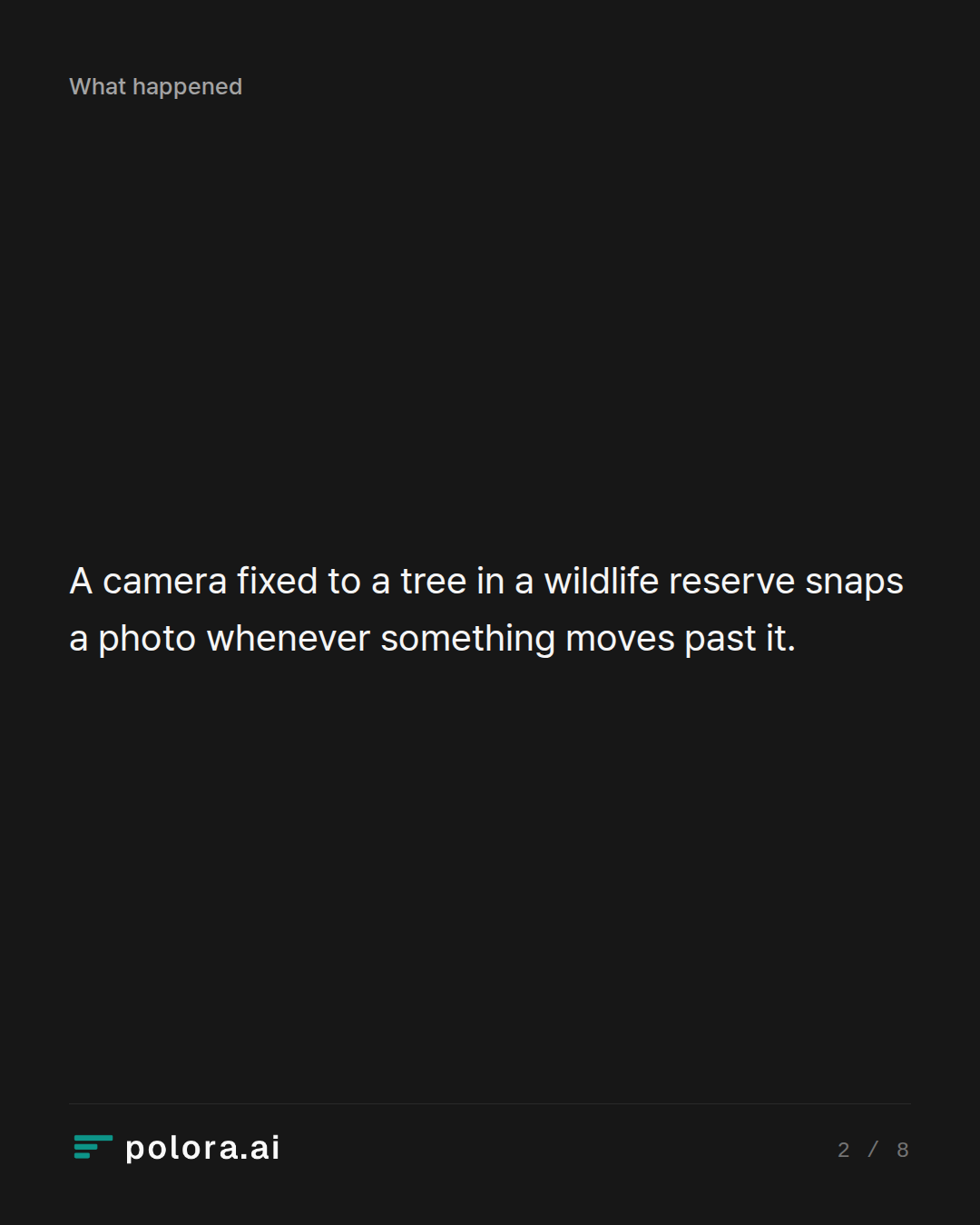 A camera fixed to a tree in a wildlife reserve snaps a photo whenever something moves past it.
