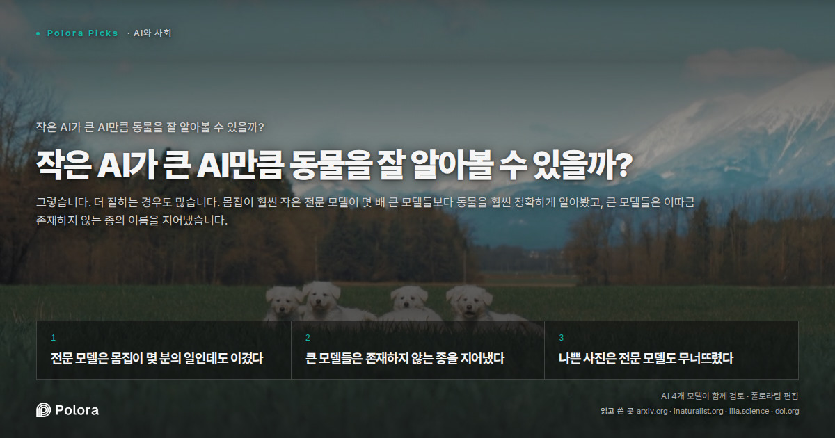 작은 AI가 큰 AI만큼 동물을 잘 알아볼 수 있을까?