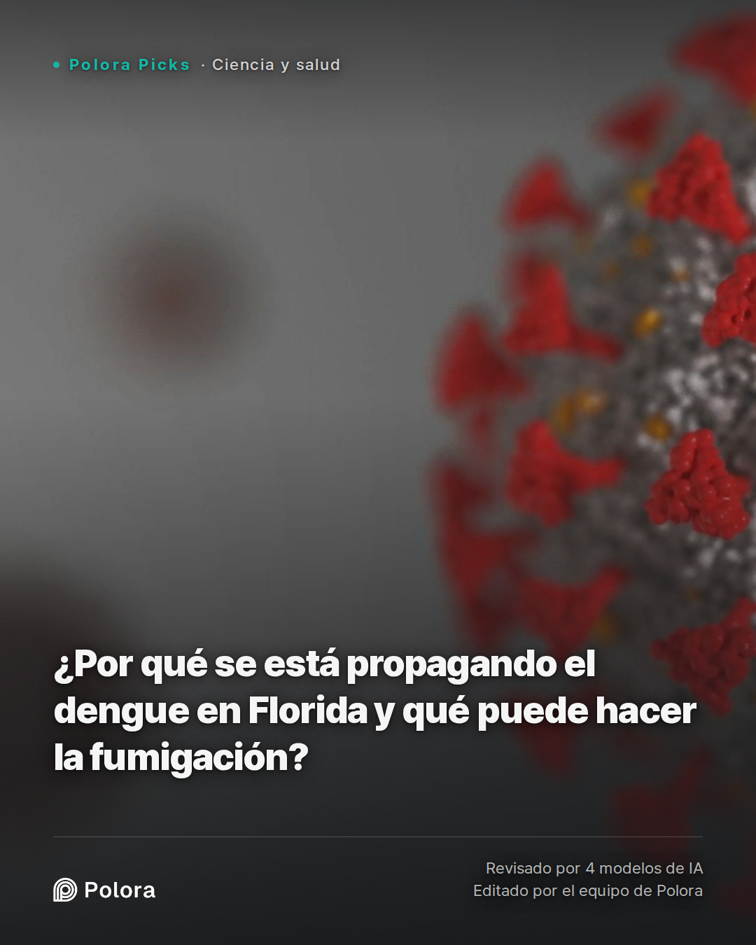 ¿Por qué se está propagando el dengue en Florida y qué puede hacer la fumigación?