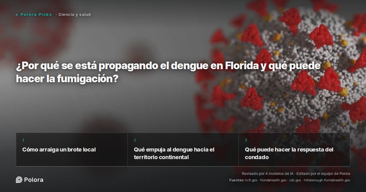 ¿Por qué se está propagando el dengue en Florida y qué puede hacer la fumigación?
