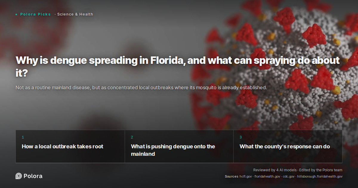 Why is dengue spreading in Florida, and what can spraying do about it?