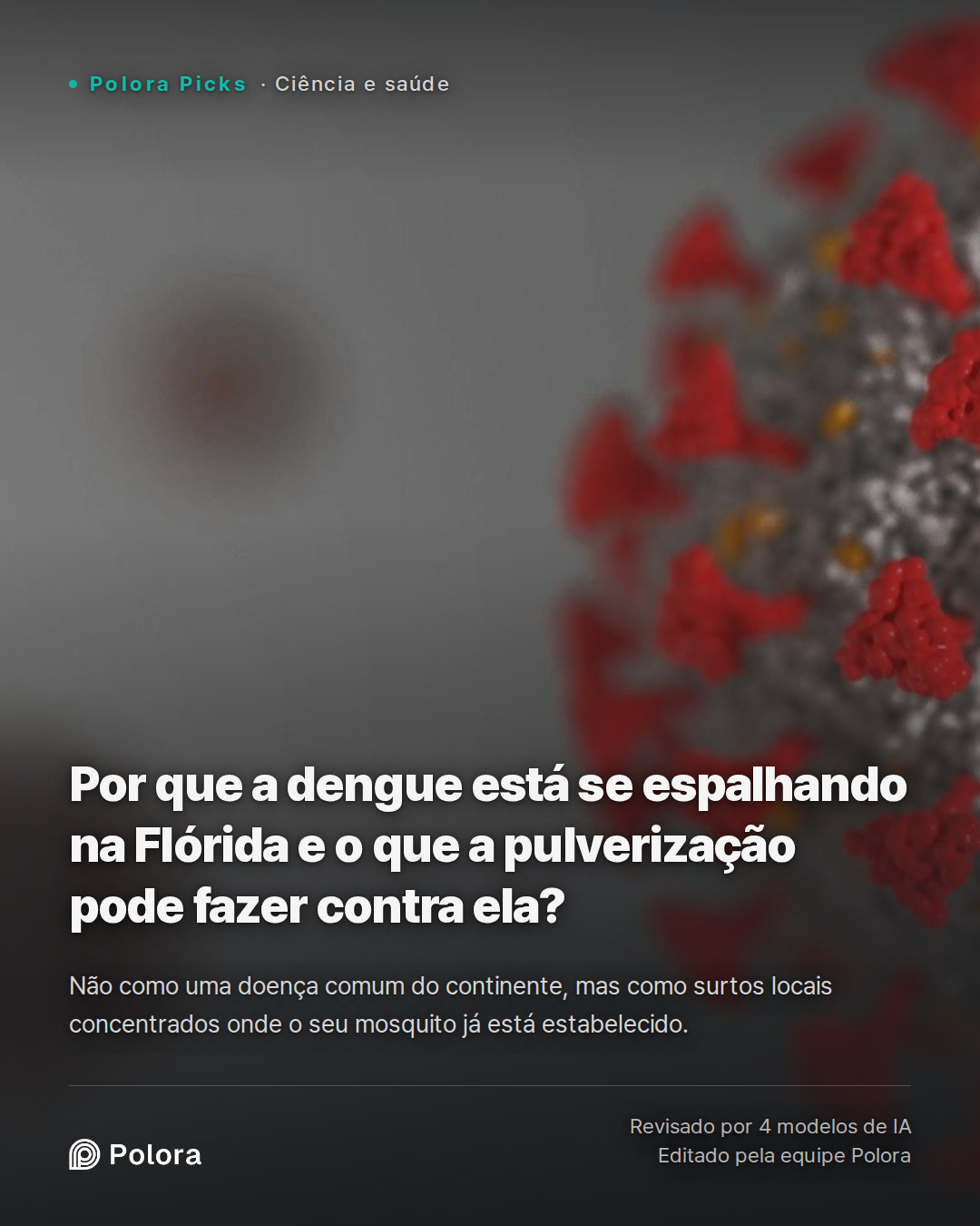 Por que a dengue está se espalhando na Flórida e o que a pulverização pode fazer contra ela?