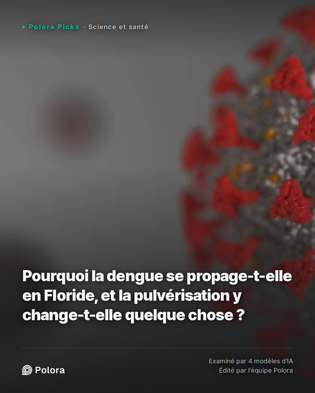 Pourquoi la dengue se propage-t-elle en Floride, et la pulvérisation y change-t-elle quelque chose ?