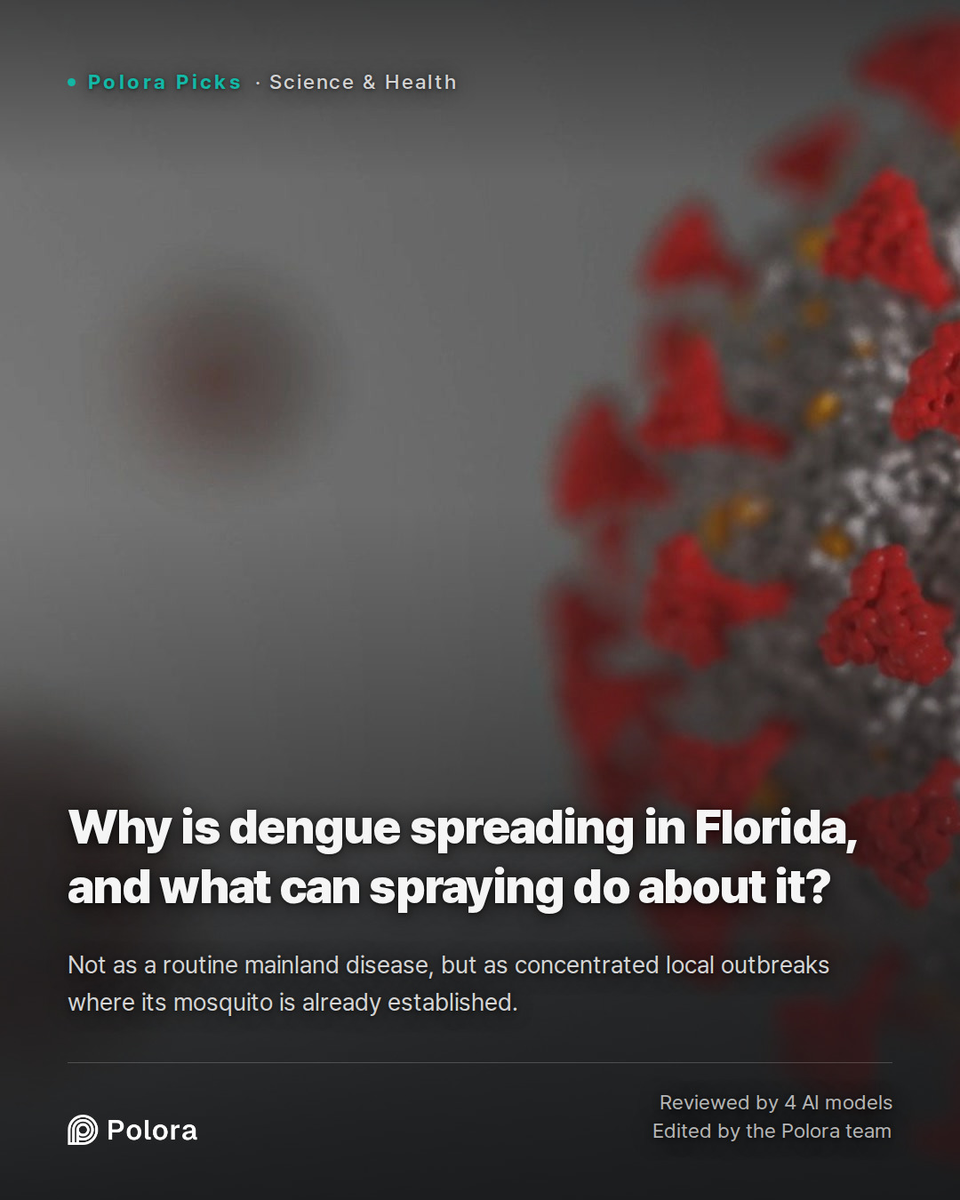 Why is dengue spreading in Florida, and what can spraying do about it?