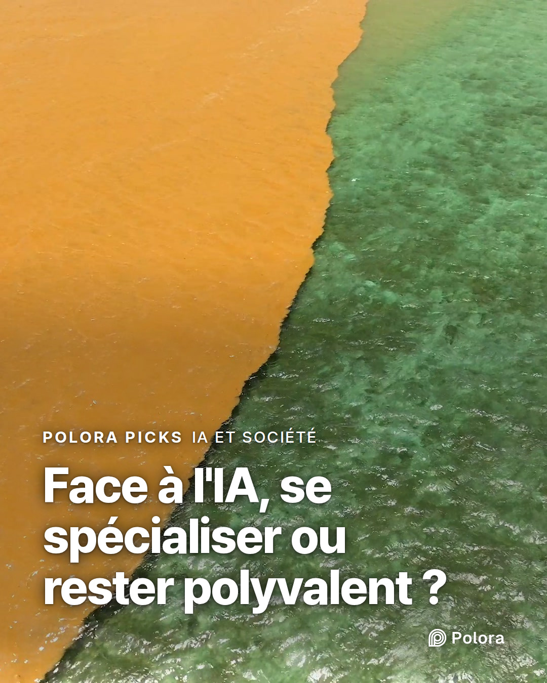 Face à l'IA, se spécialiser ou rester polyvalent ?
