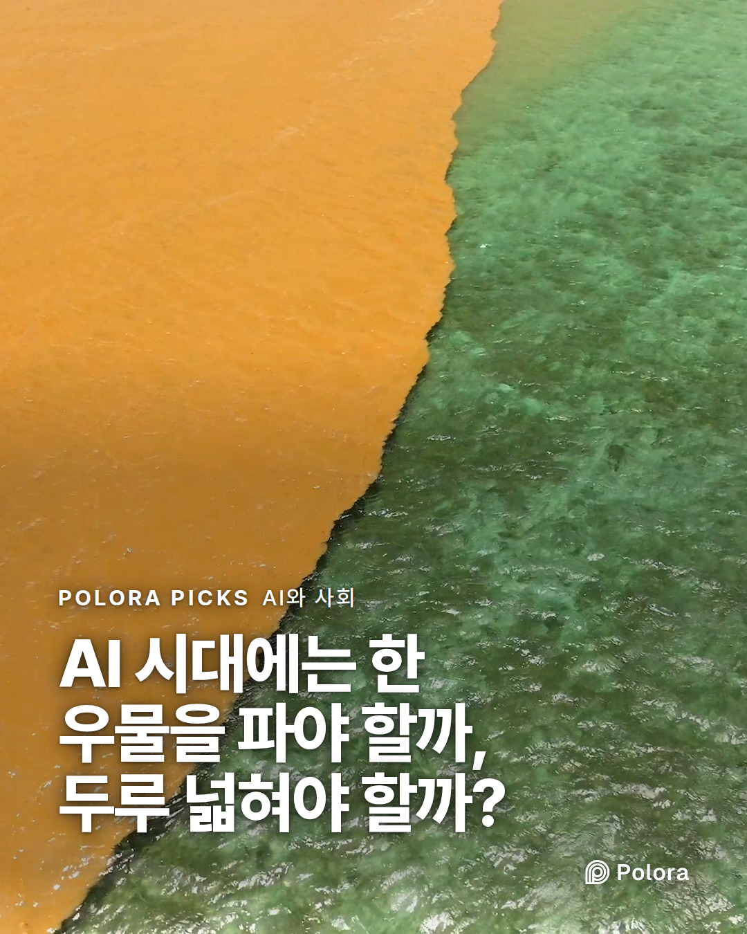 AI 시대에는 한 우물을 파야 할까, 두루 넓혀야 할까?