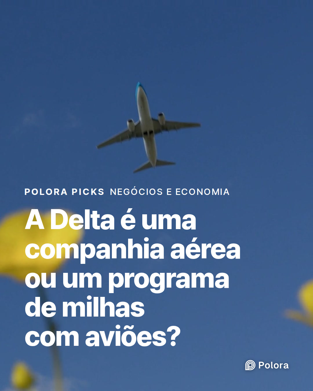 A Delta é uma companhia aérea ou um programa de milhas com aviões?