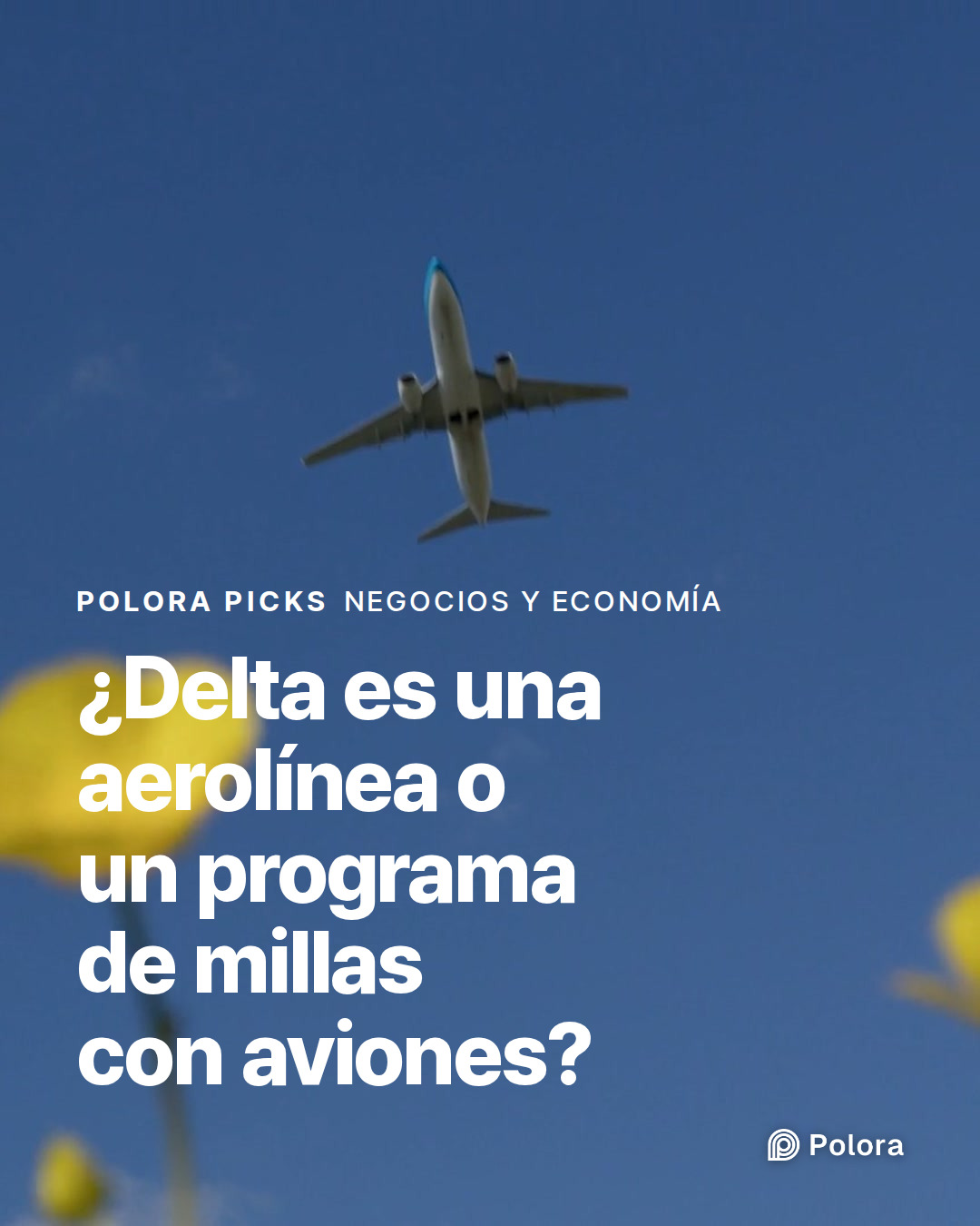 ¿Delta es una aerolínea o un programa de millas con aviones?