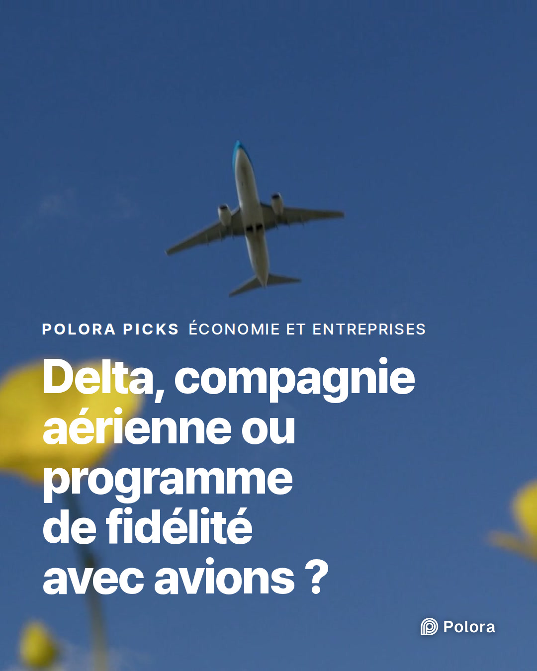 Delta, compagnie aérienne ou programme de fidélité avec avions ?