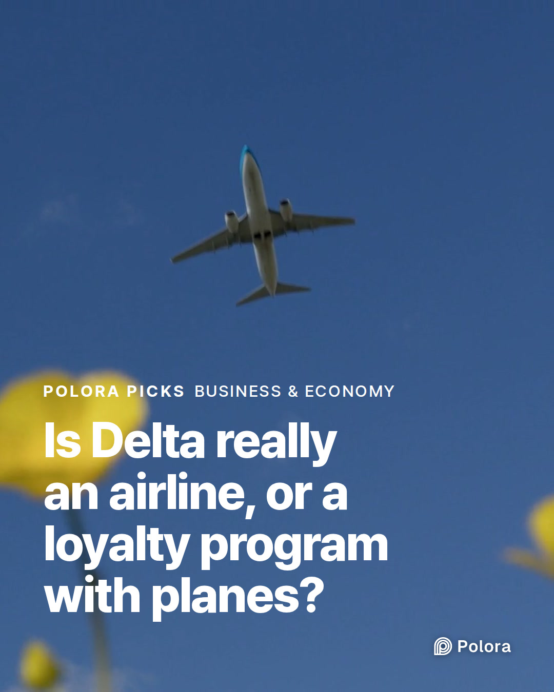 Is Delta really an airline, or a loyalty program with planes?