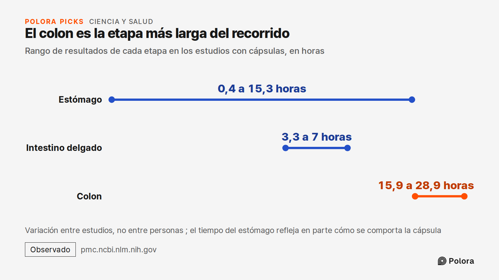 El colon es la etapa más larga del recorrido · Rango de resultados de cada etapa en los estudios con cápsulas, en horas · Estómago · Intestino delgado · Colon · 0,4 a 15,3 horas · 3,3 a 7 horas · 15,9 a 28,9 horas · Variación entre estudios, no entre personas ; el tiempo del estómago refleja en part