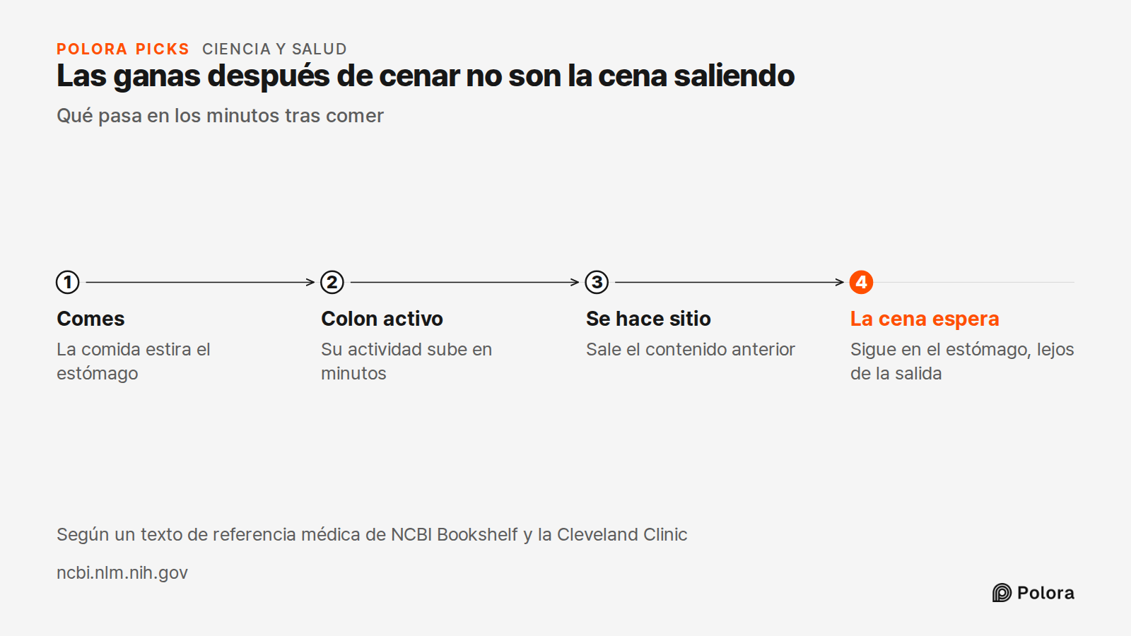 Las ganas después de cenar no son la cena saliendo · Qué pasa en los minutos tras comer · Comes · Colon activo · Se hace sitio · La cena espera · La comida estira el estómago · Su actividad sube en minutos · Sale el contenido anterior · Sigue en el estómago, lejos de la salida · Según un texto de re