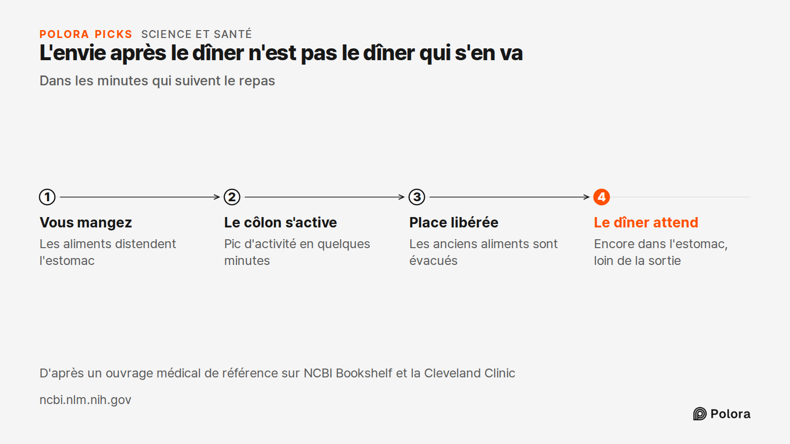 L'envie après le dîner n'est pas le dîner qui s'en va · Dans les minutes qui suivent le repas · Vous mangez · Le côlon s'active · Place libérée · Le dîner attend · Les aliments distendent l'estomac · Pic d'activité en quelques minutes · Les anciens aliments sont évacués · Encore dans l'estomac, loin