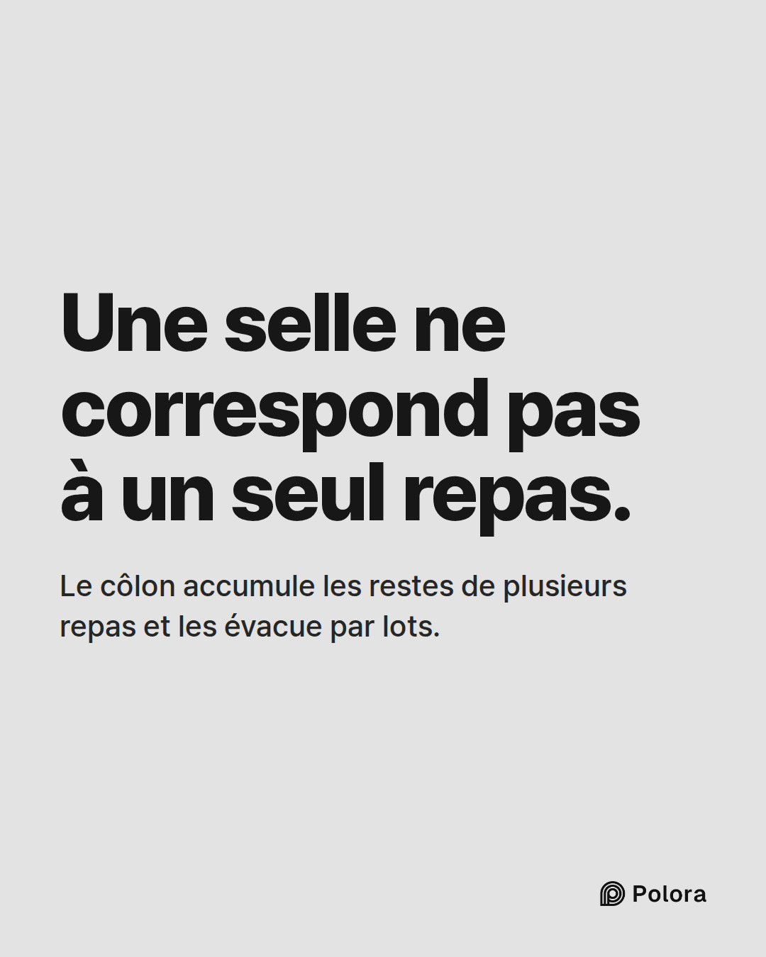Une selle ne correspond pas à un seul repas. · Le côlon accumule les restes de plusieurs repas et les évacue par lots.