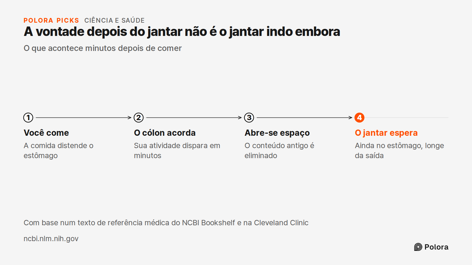A vontade depois do jantar não é o jantar indo embora · O que acontece minutos depois de comer · Você come · O cólon acorda · Abre-se espaço · O jantar espera · A comida distende o estômago · Sua atividade dispara em minutos · O conteúdo antigo é eliminado · Ainda no estômago, longe da saída · Com b