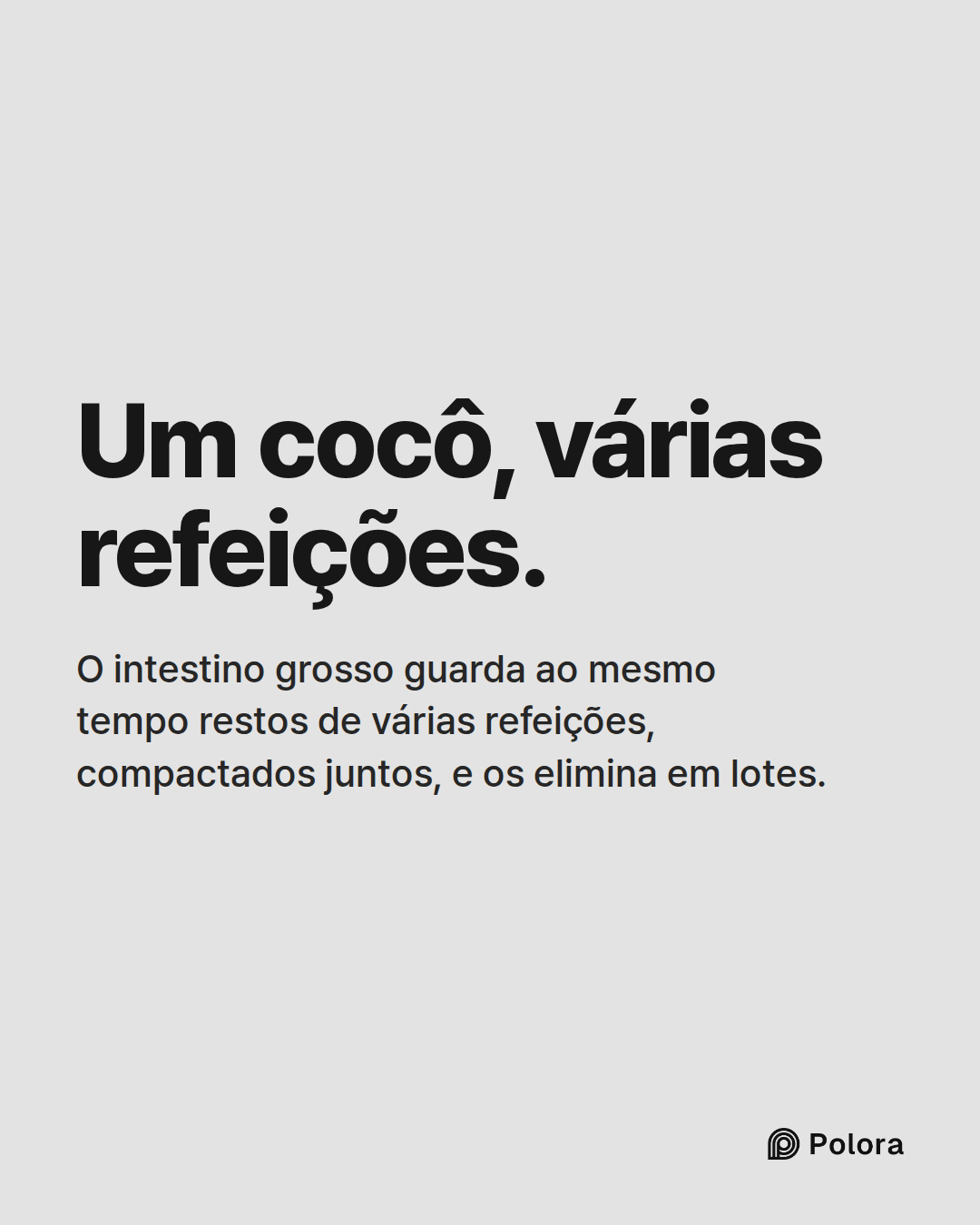 Um cocô, várias refeições. · O intestino grosso guarda ao mesmo tempo restos de várias refeições, compactados juntos, e os elimina em lotes.