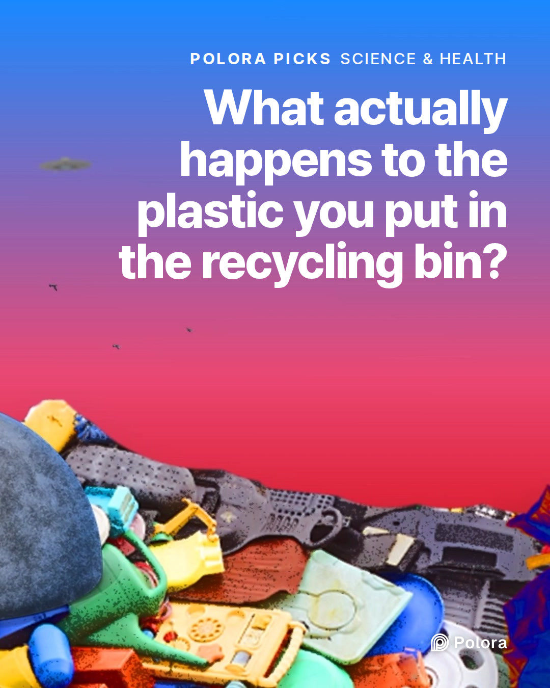 What actually happens to the plastic you put in the recycling bin?