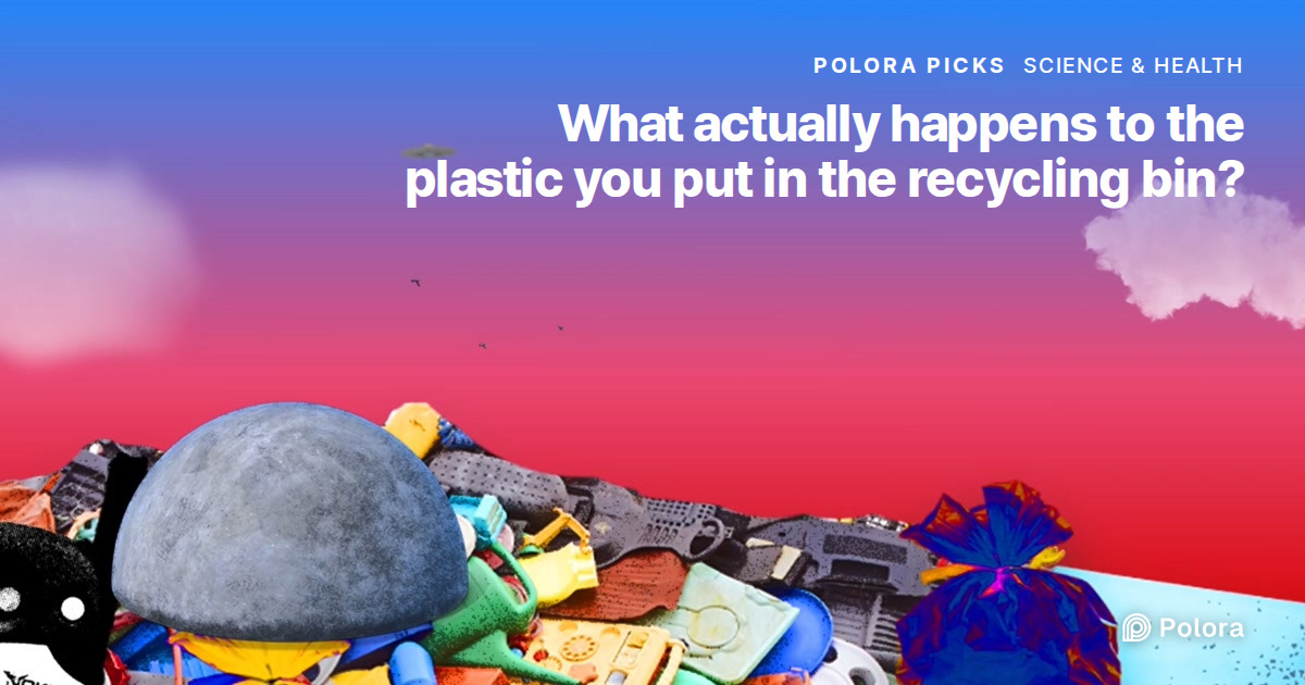 What actually happens to the plastic you put in the recycling bin?