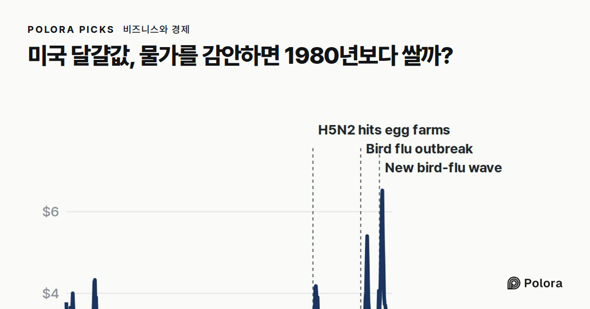 미국 달걀값, 물가를 감안하면 1980년보다 쌀까?