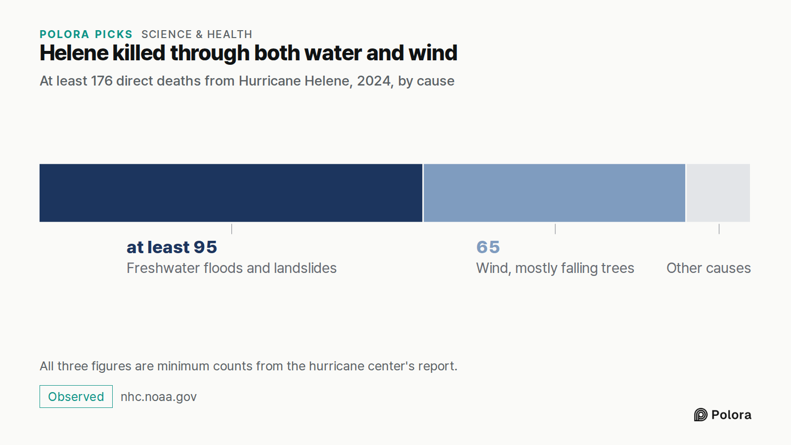 Helene killed through both water and wind · At least 176 direct deaths from Hurricane Helene, 2024, by cause · Freshwater floods and landslides · Wind, mostly falling trees · at least 95 · 65 · Other causes · All three figures are minimum counts from the hurricane center's report.